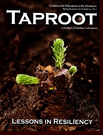 Vol 21(1) - Spr 2011.jpg